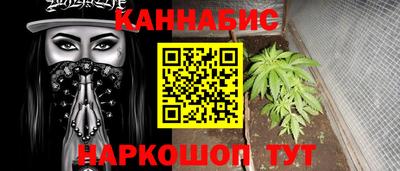 шишки Шелехов