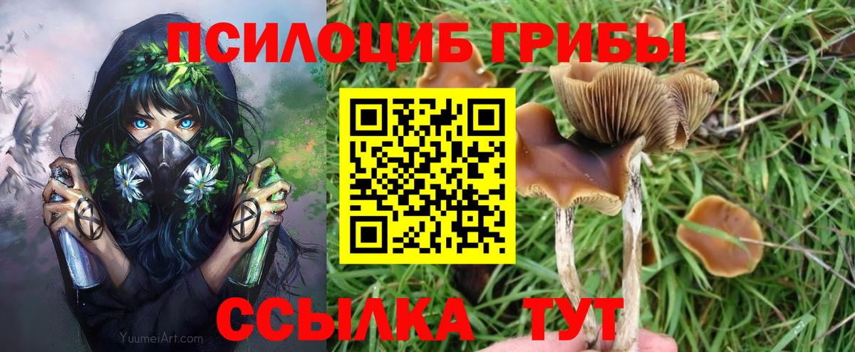 Галлюциногенные грибы ЛСД Кумертау